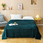 Household Thickened Cloud Mink Velvet Blanket