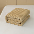 Household Thickened Cloud Mink Velvet Blanket